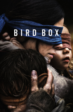Bird Box—Leading by Faith not by Sight