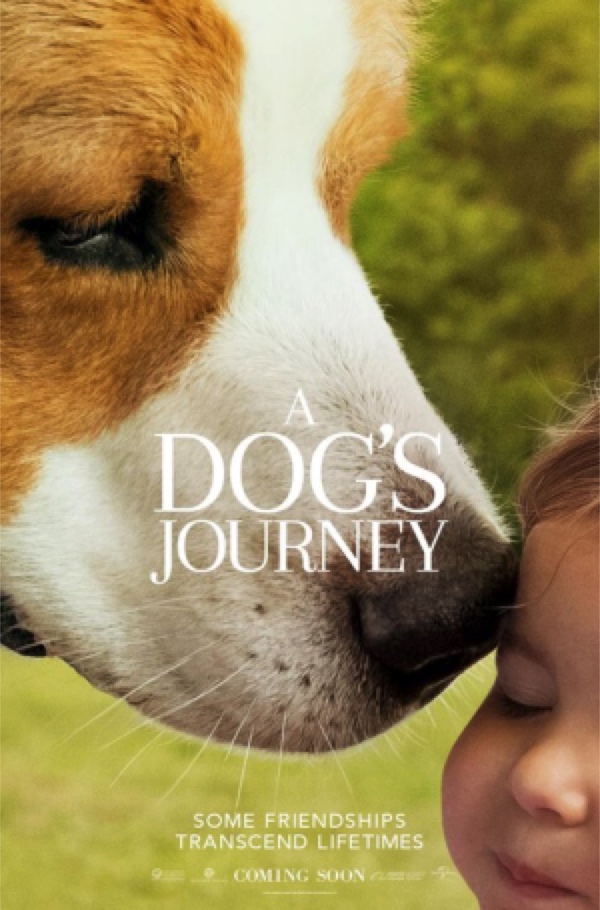 A Dog's Journey - Love and Belonging